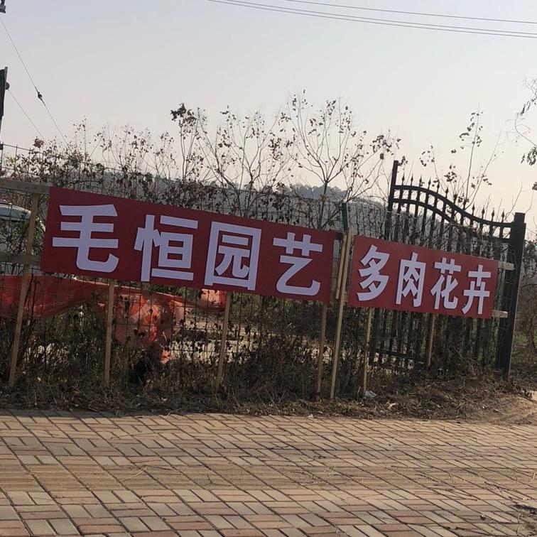 @毛恒园艺多肉基地