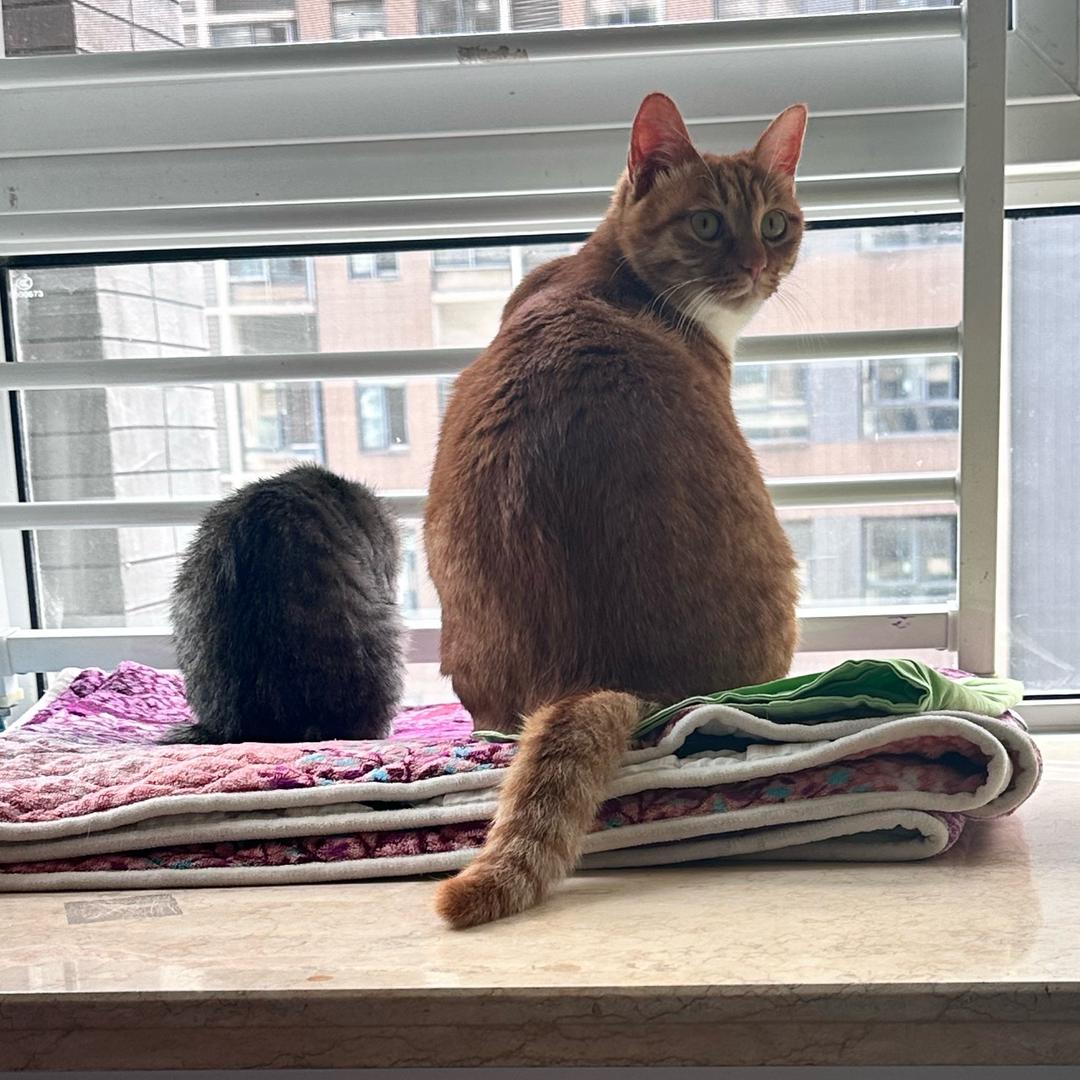 悠宝～悠悠岁月