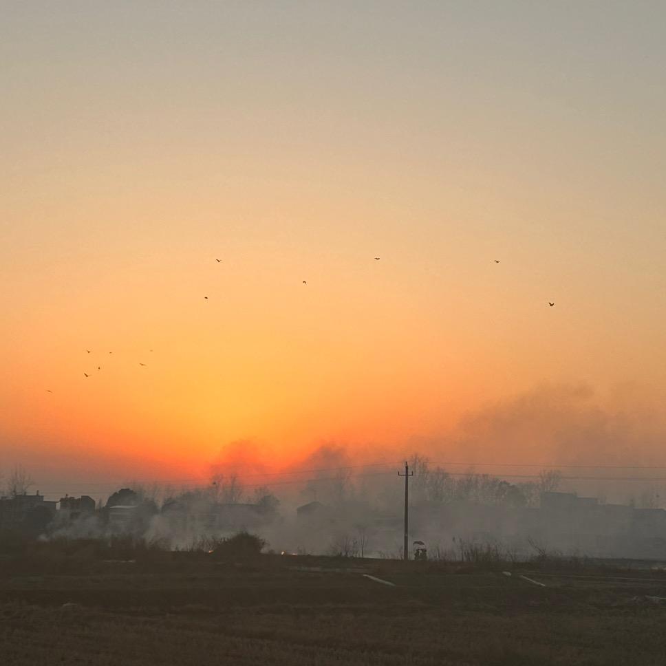 王哈哈丶     你的关注