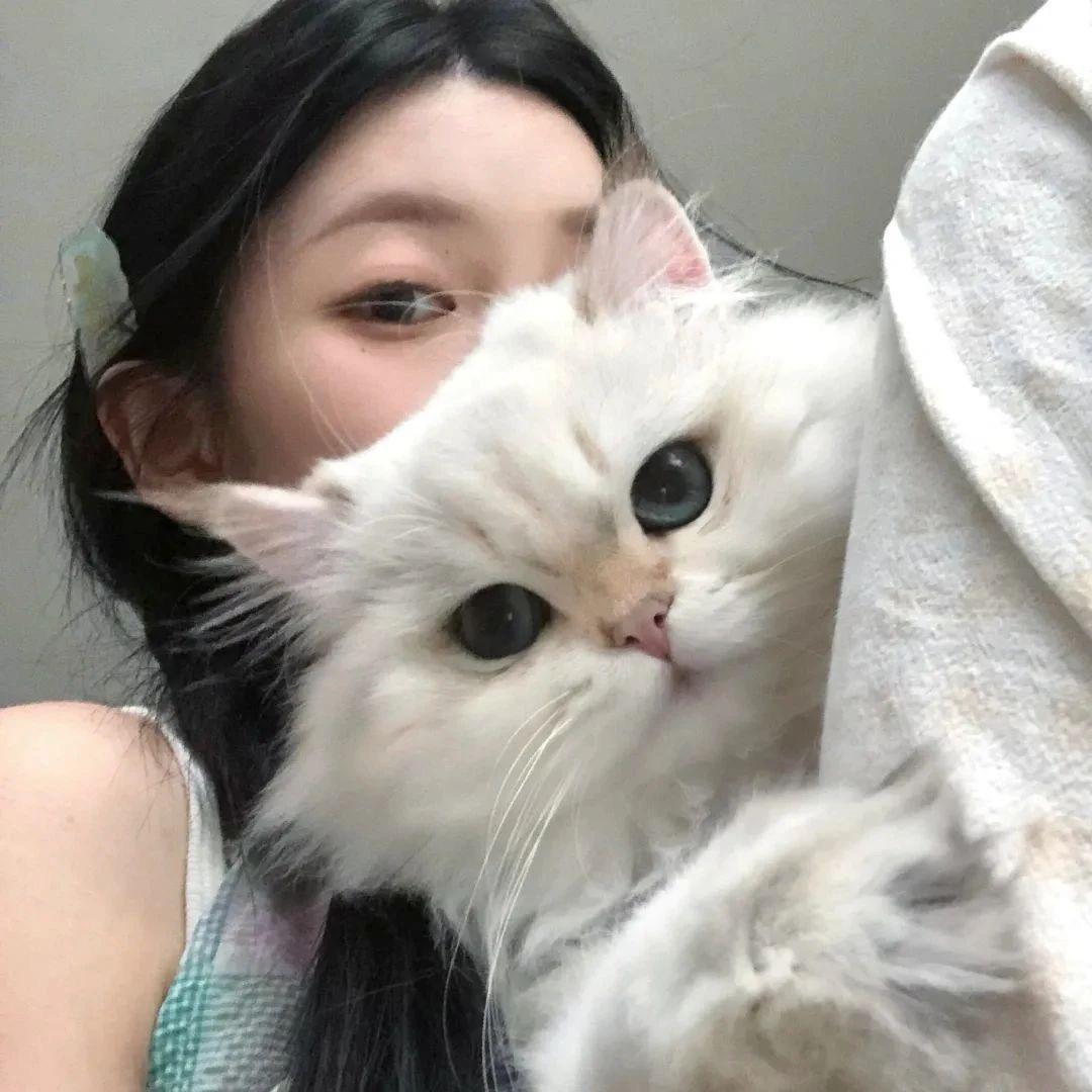 小七🐶