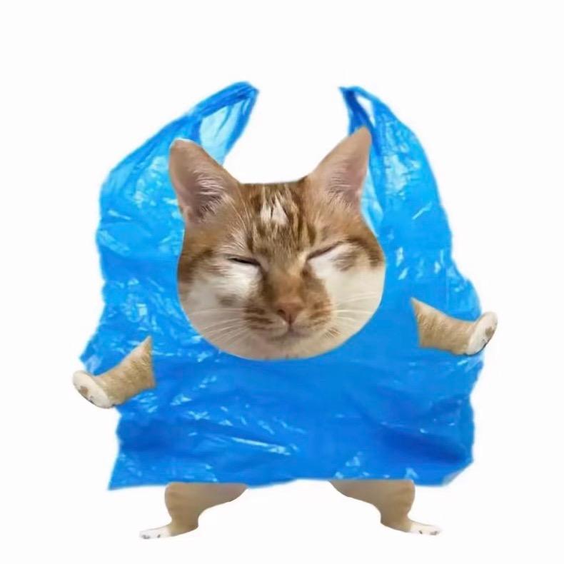 拒绝说哦