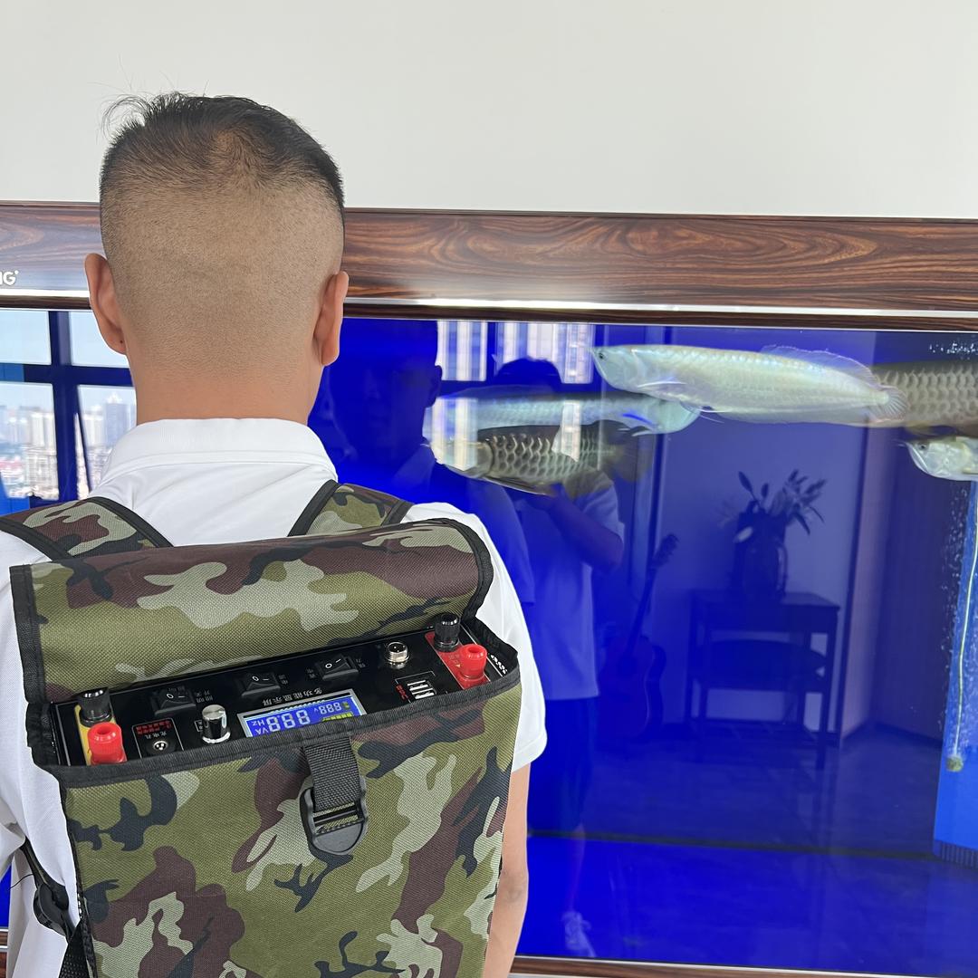 鱼电锂电一体机厂家