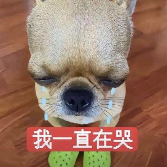 帅到被砍六十刀