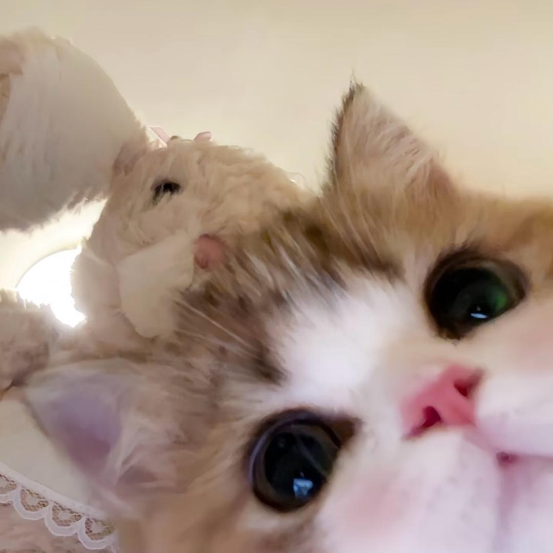 耶溪