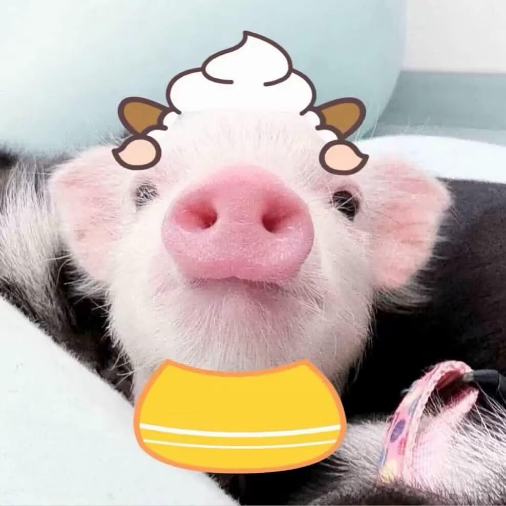 什么函、