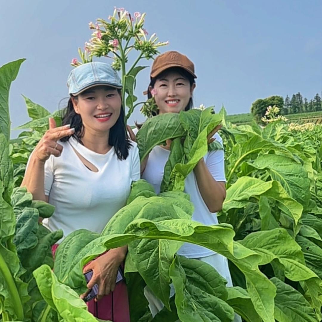 盈盈满满