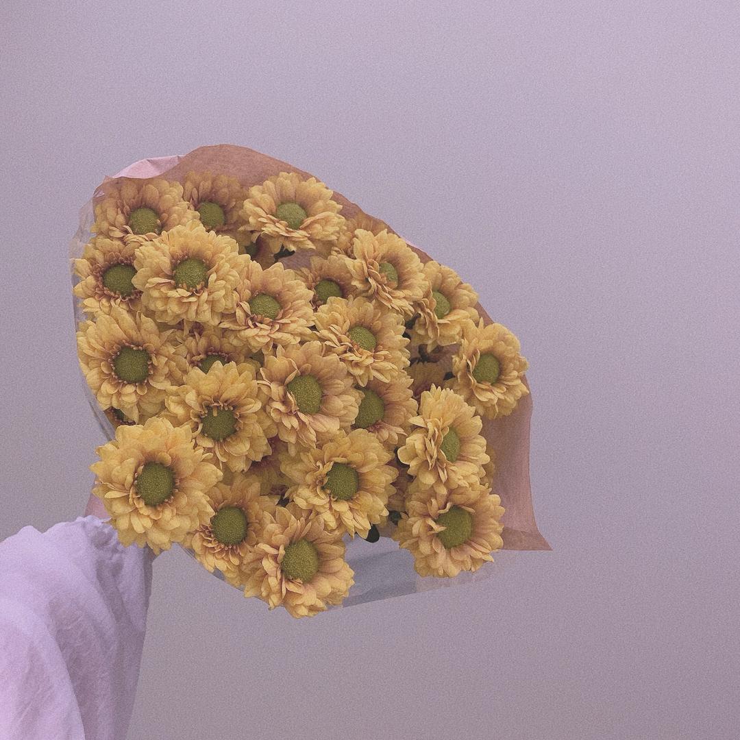 嘿，朱11～