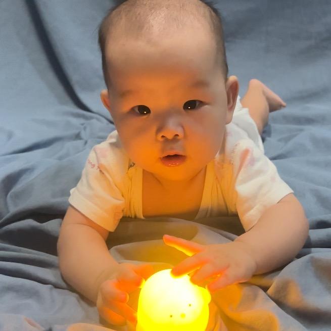 兮兮公主