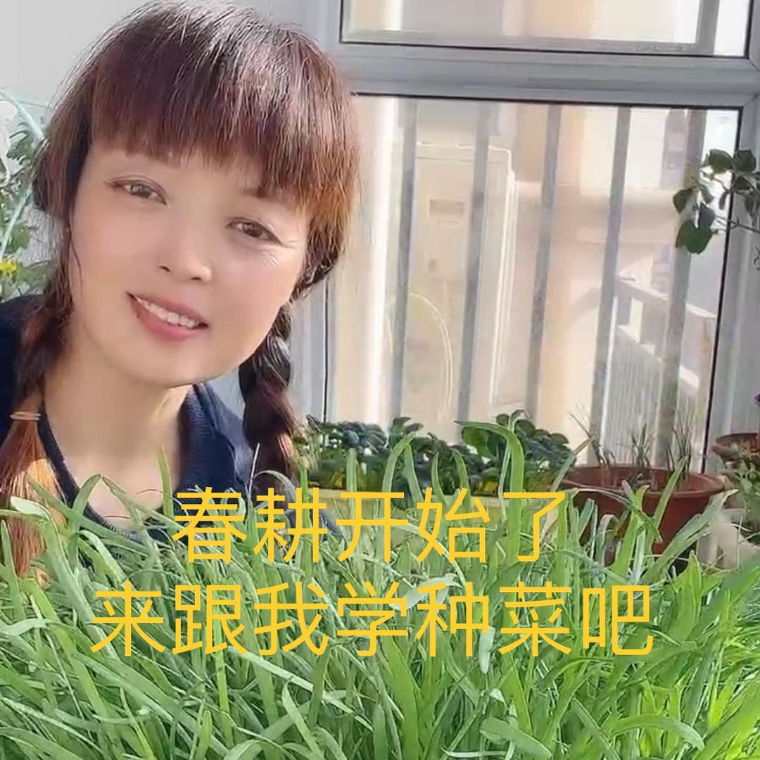 ☘️田园种菜姐🍃