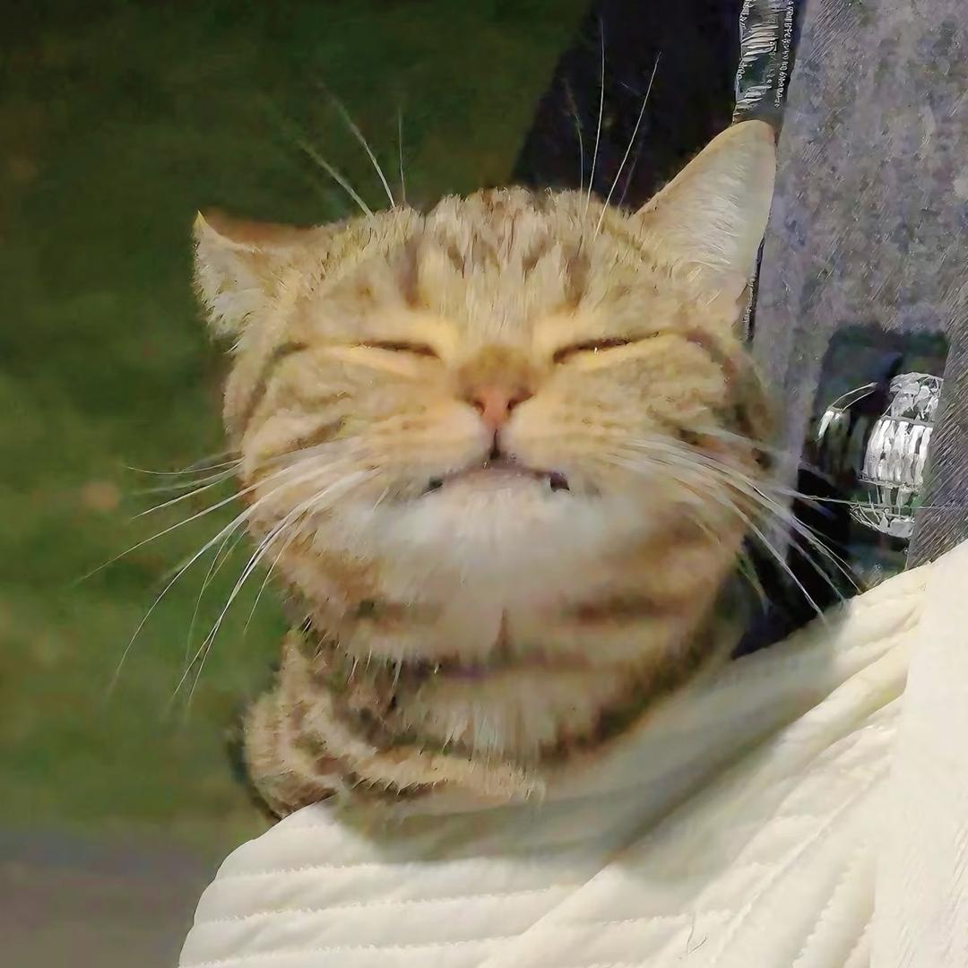 等等等等要成为根音战士