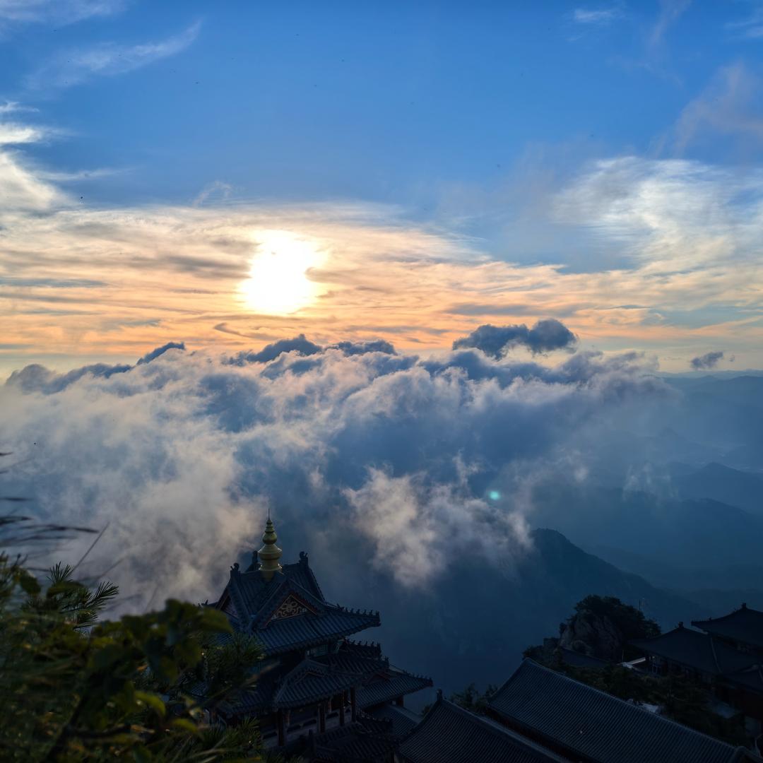 田小慧热爱生活🌻