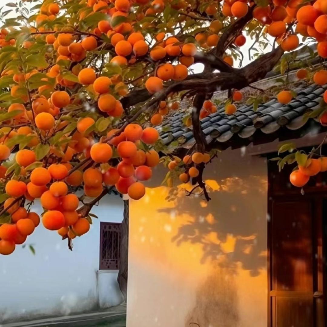 锦上添花～年货