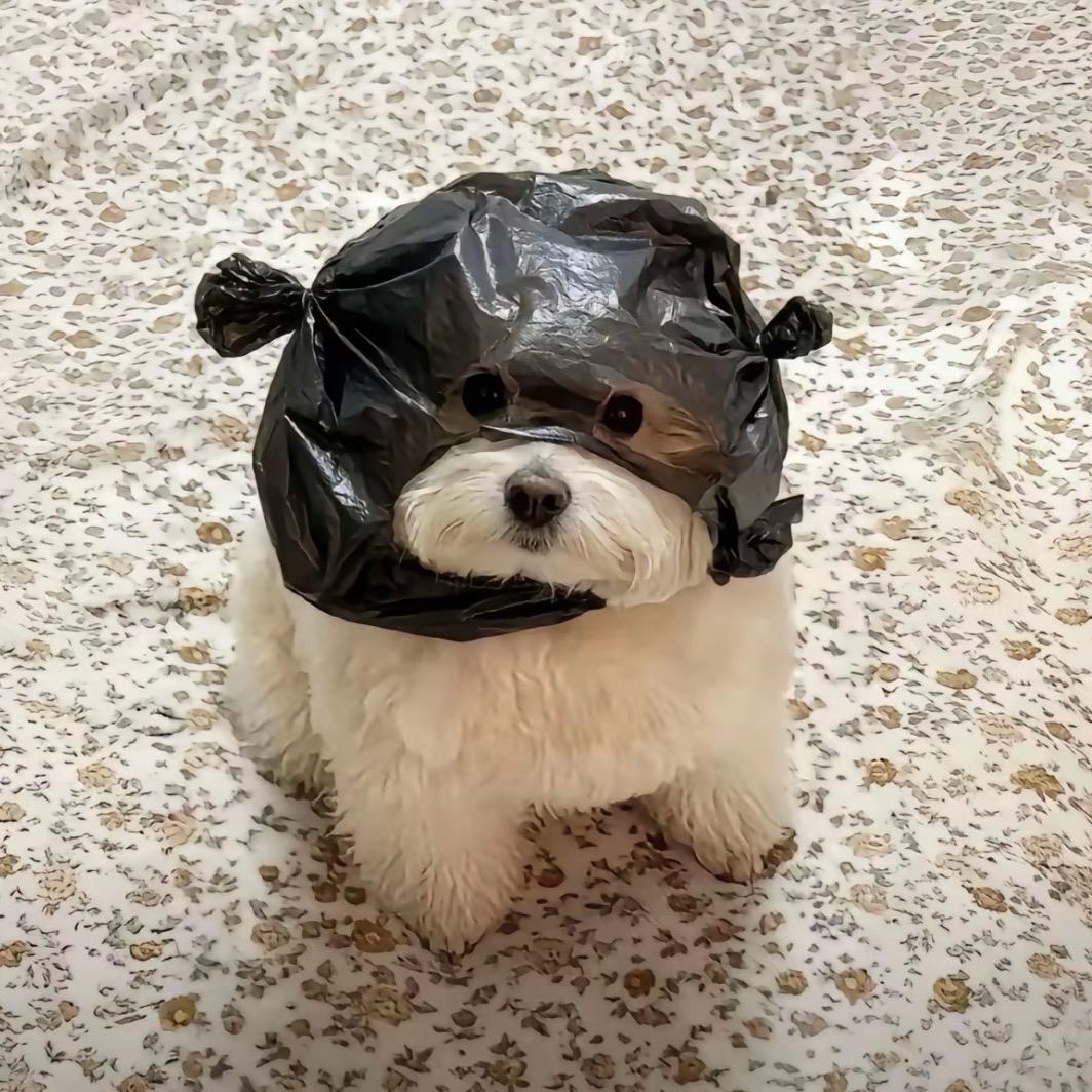 QAQ