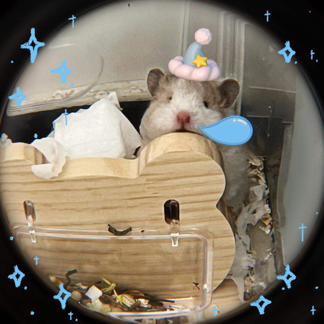 rur-x（家有小老鼠版