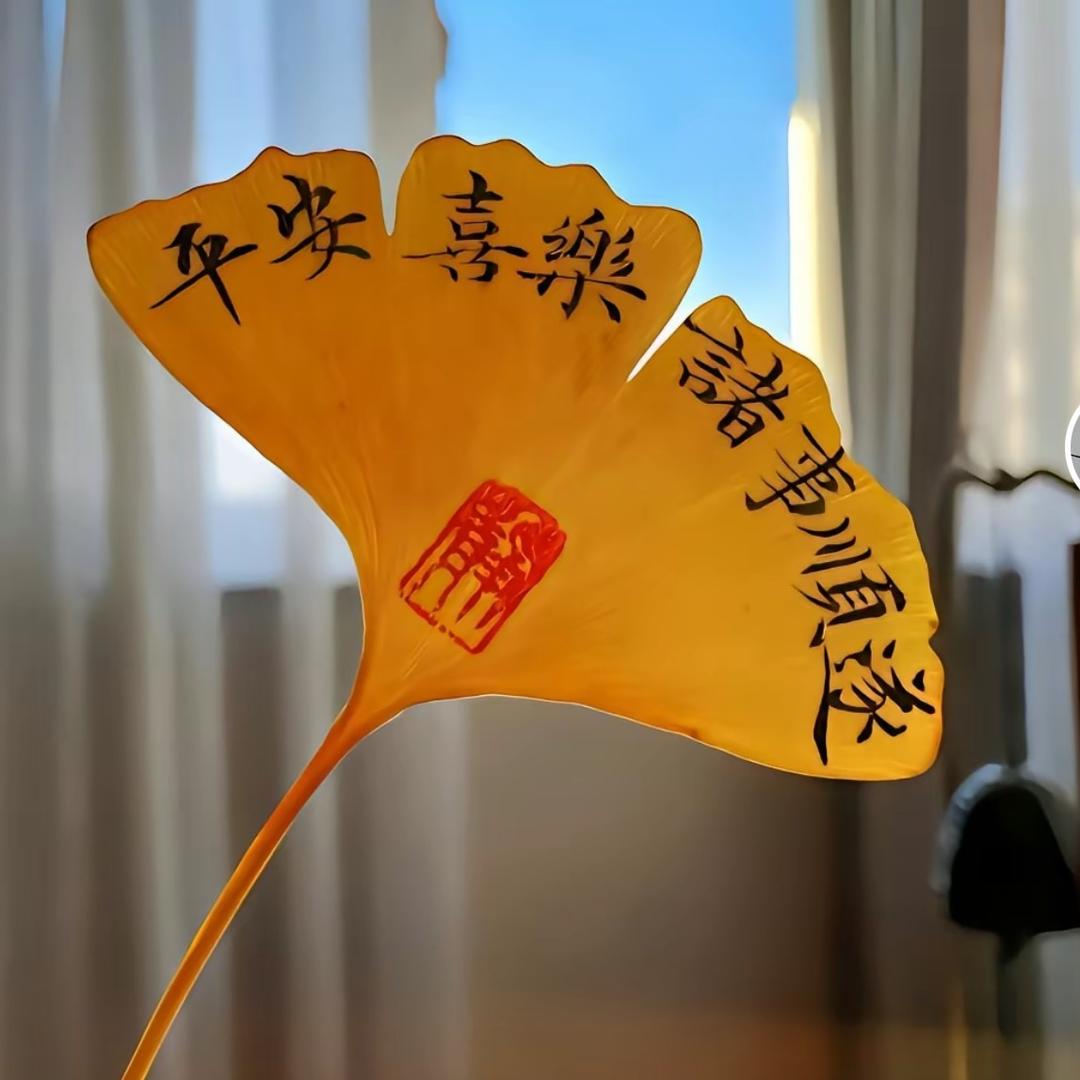 暖阳🍀