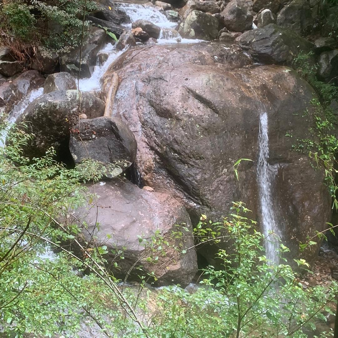 精诚（道氣長存）