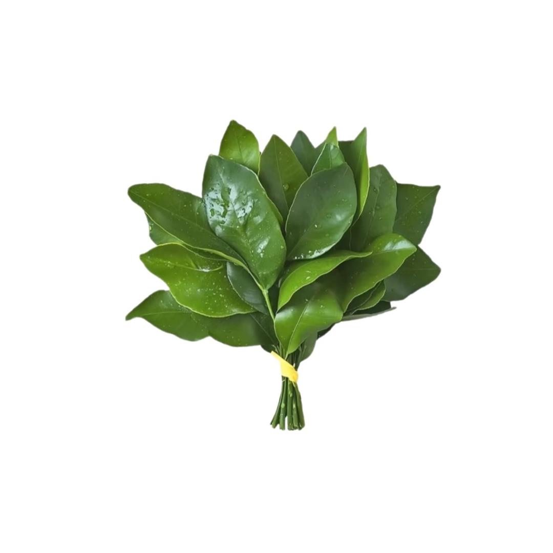 稳步自媒体-小希