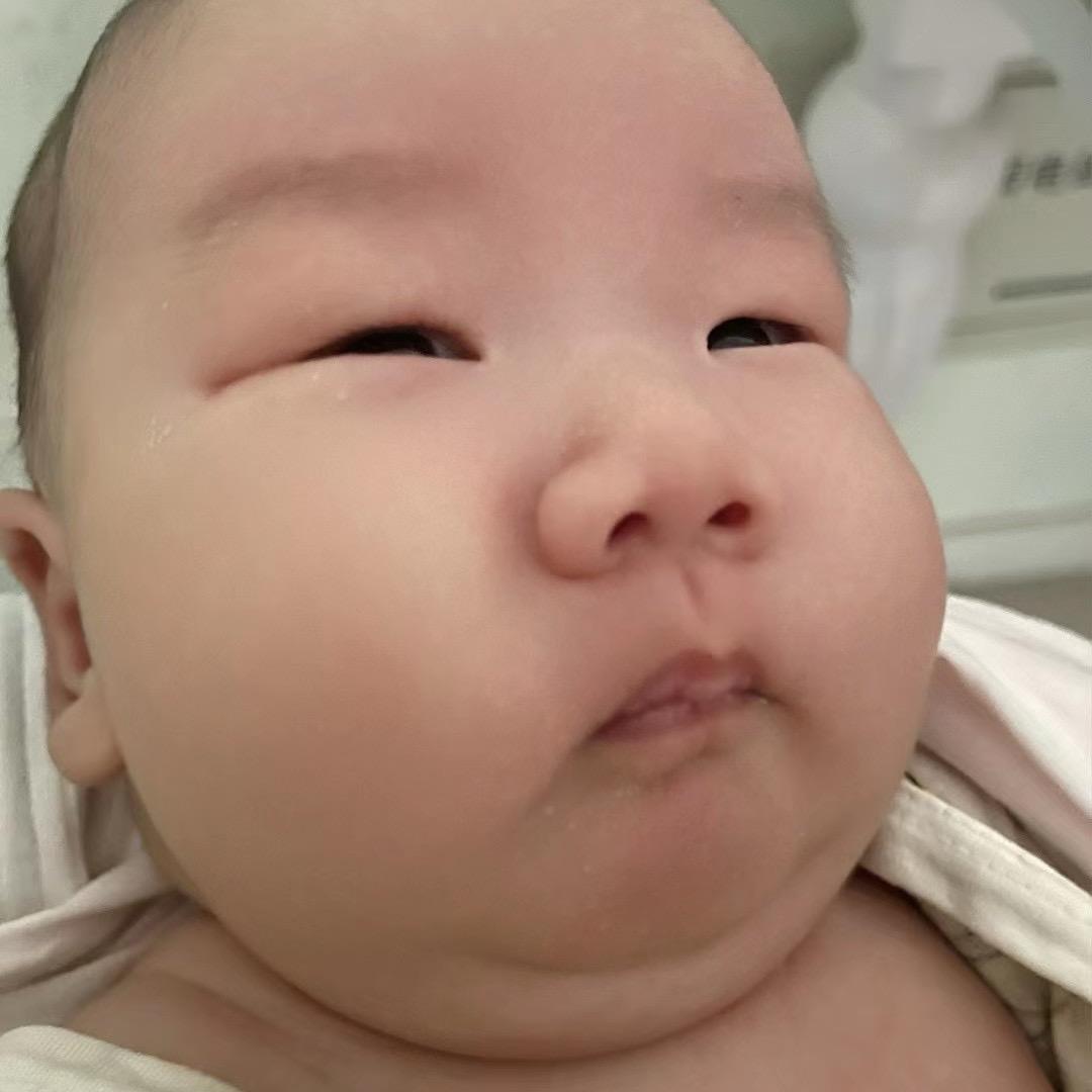 凯威大人🐯