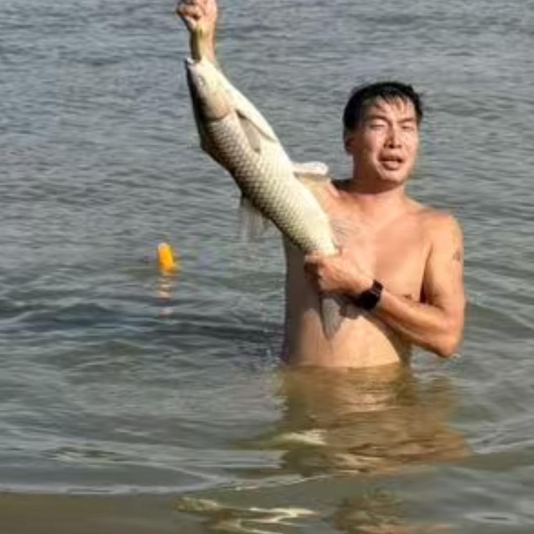 速度与激情