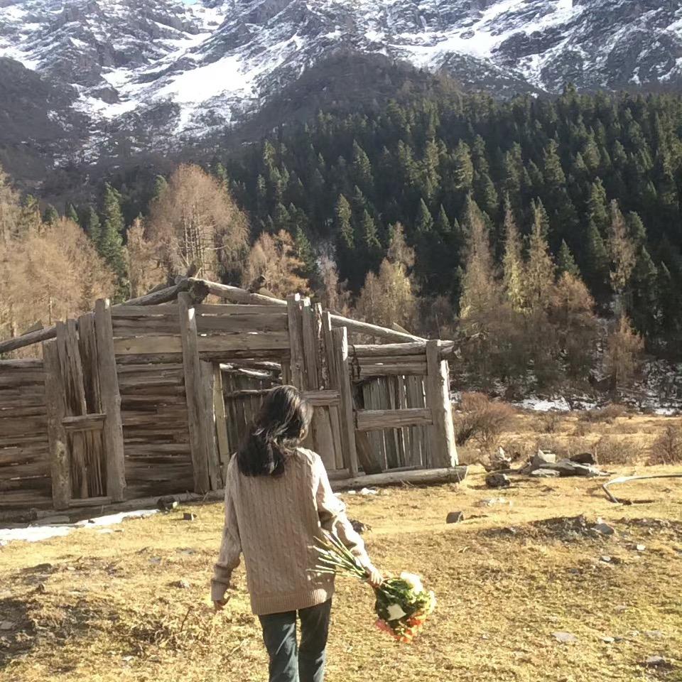 晚遇li