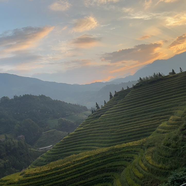 福利兴坪西洋复合肥