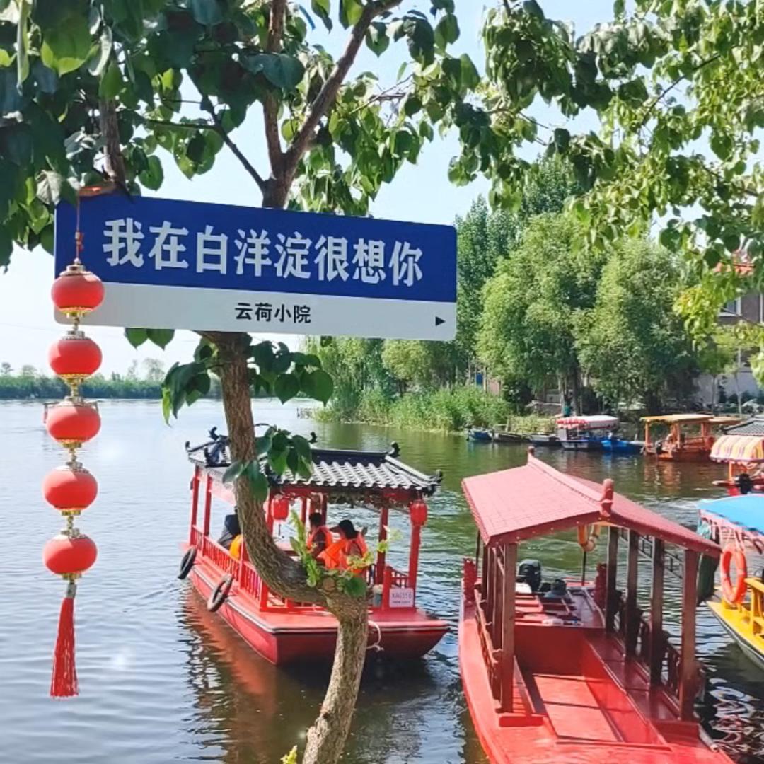 白洋淀云荷小院🪷