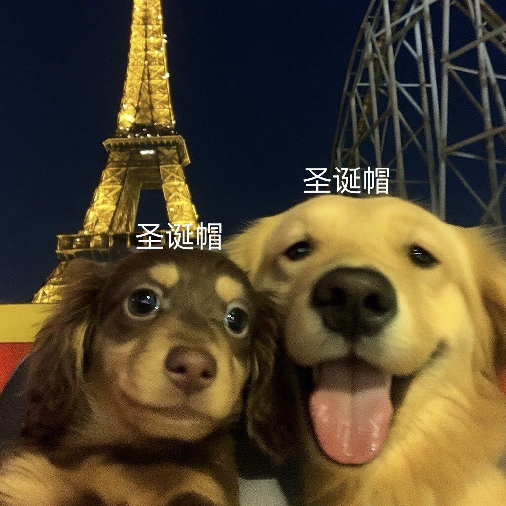 婆婆丁大王&财神酱