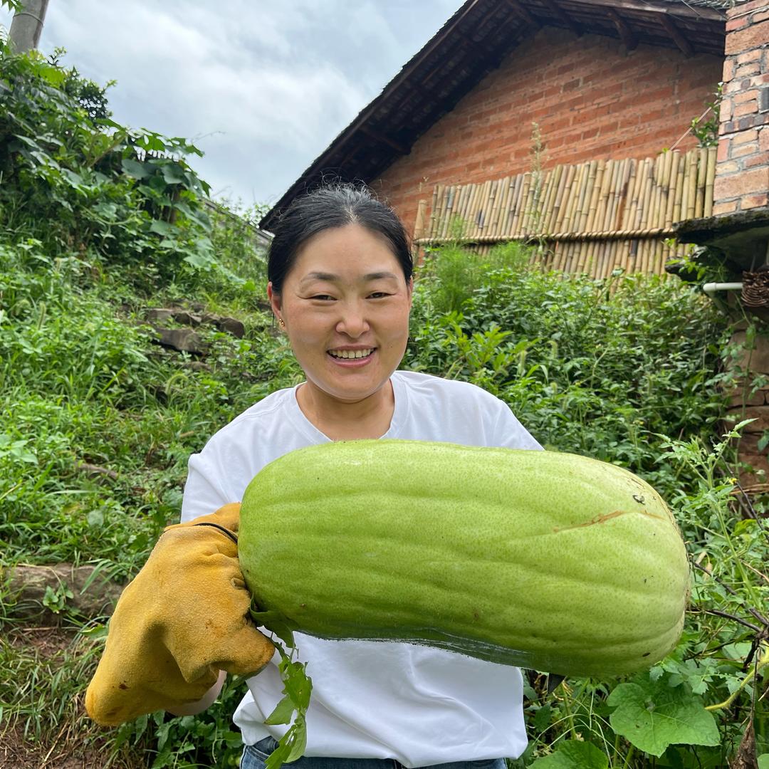 丹丹的菌饺日常