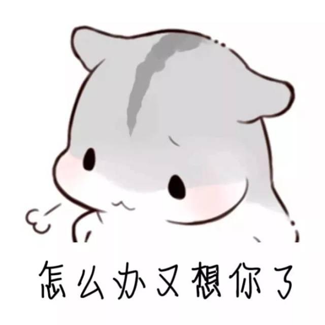 🌈半仙🌈