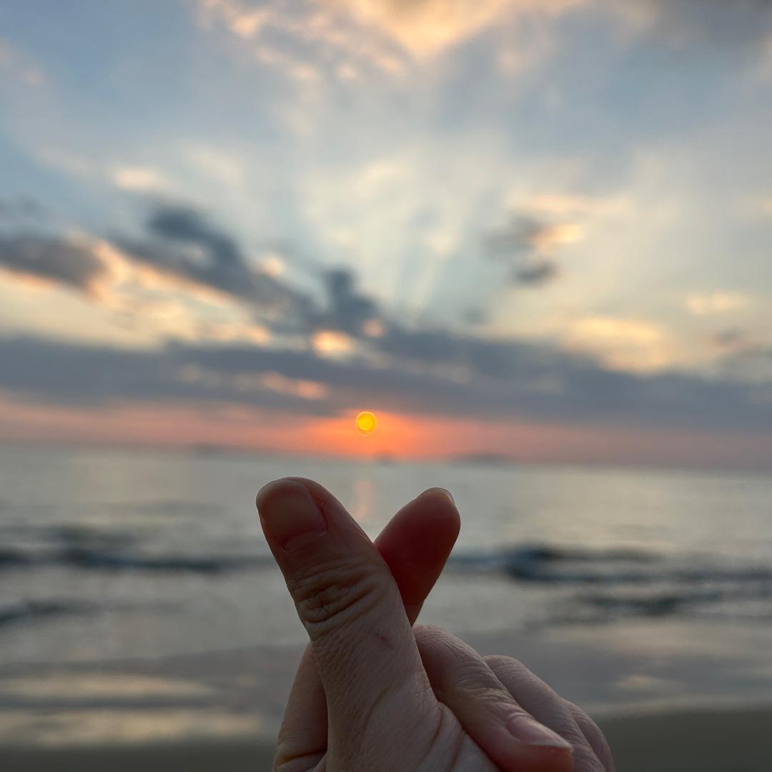 东西西在流浪