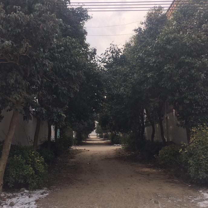 大明典藏