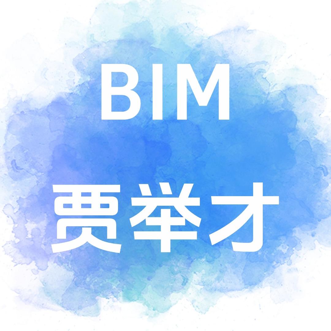 BIM贾举才