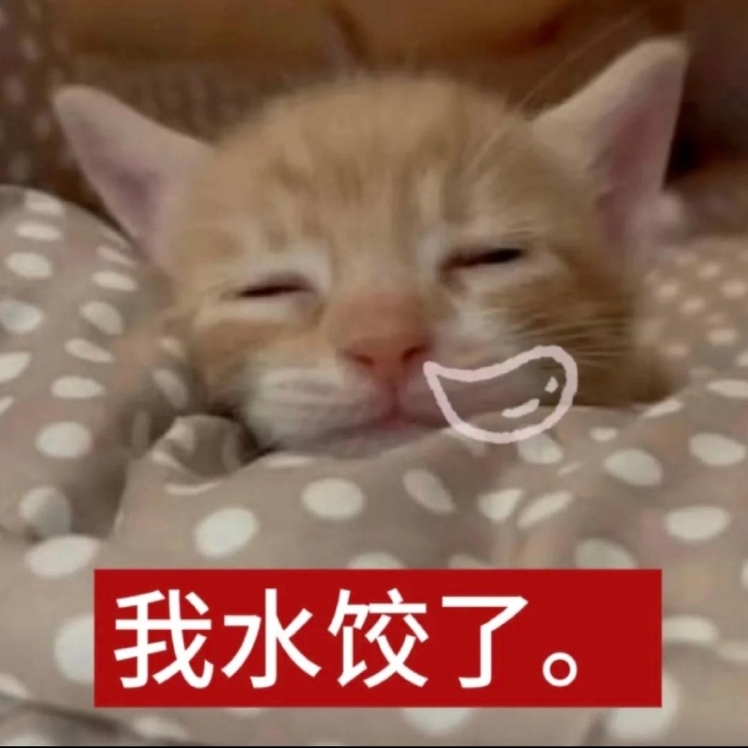鱼虾一整碗