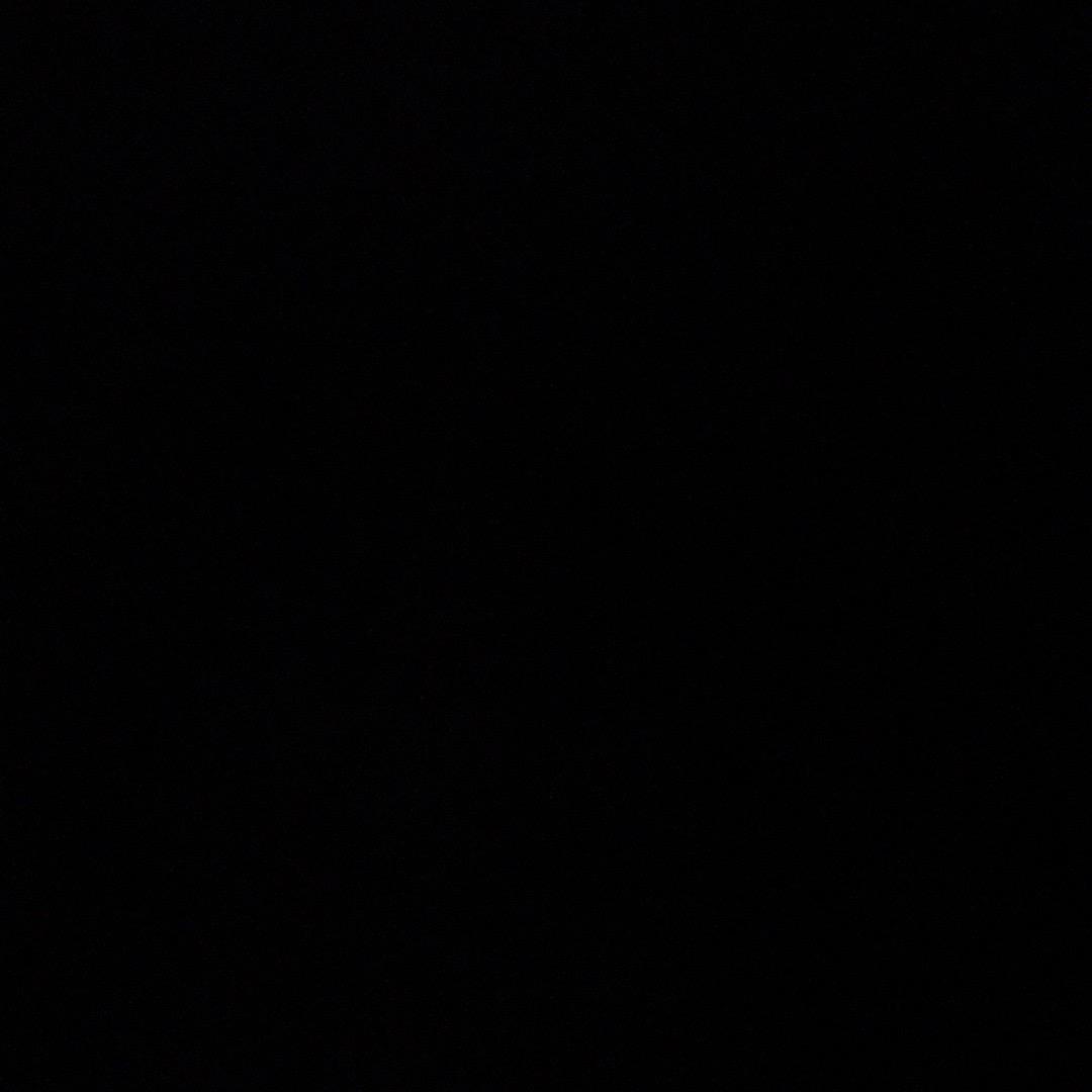🌎🌎🌎