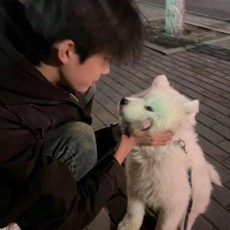 等不到晚安