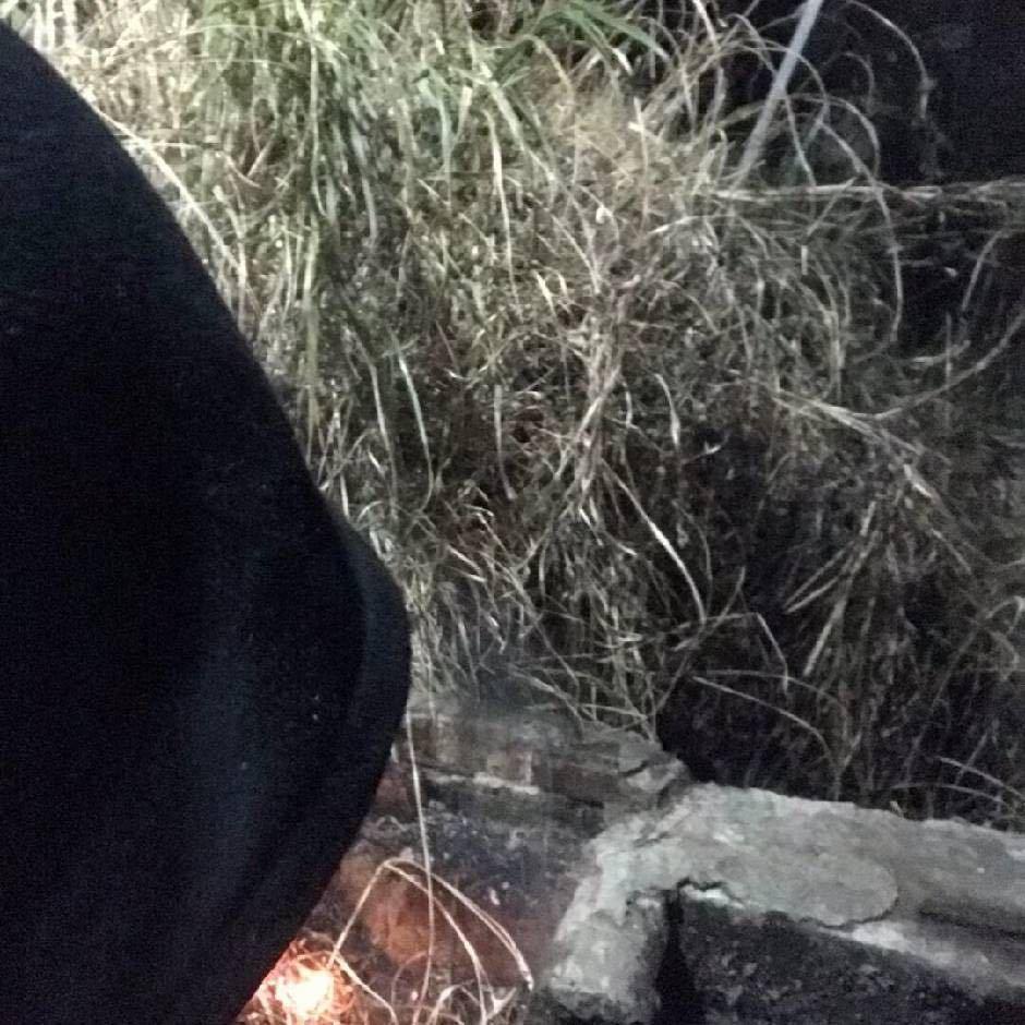 DH house鼎湖浩斯酒吧