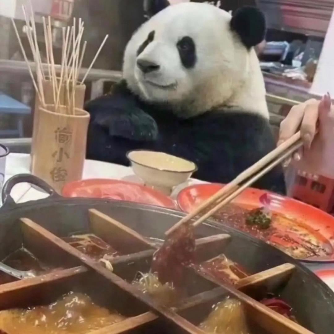 就很棒！