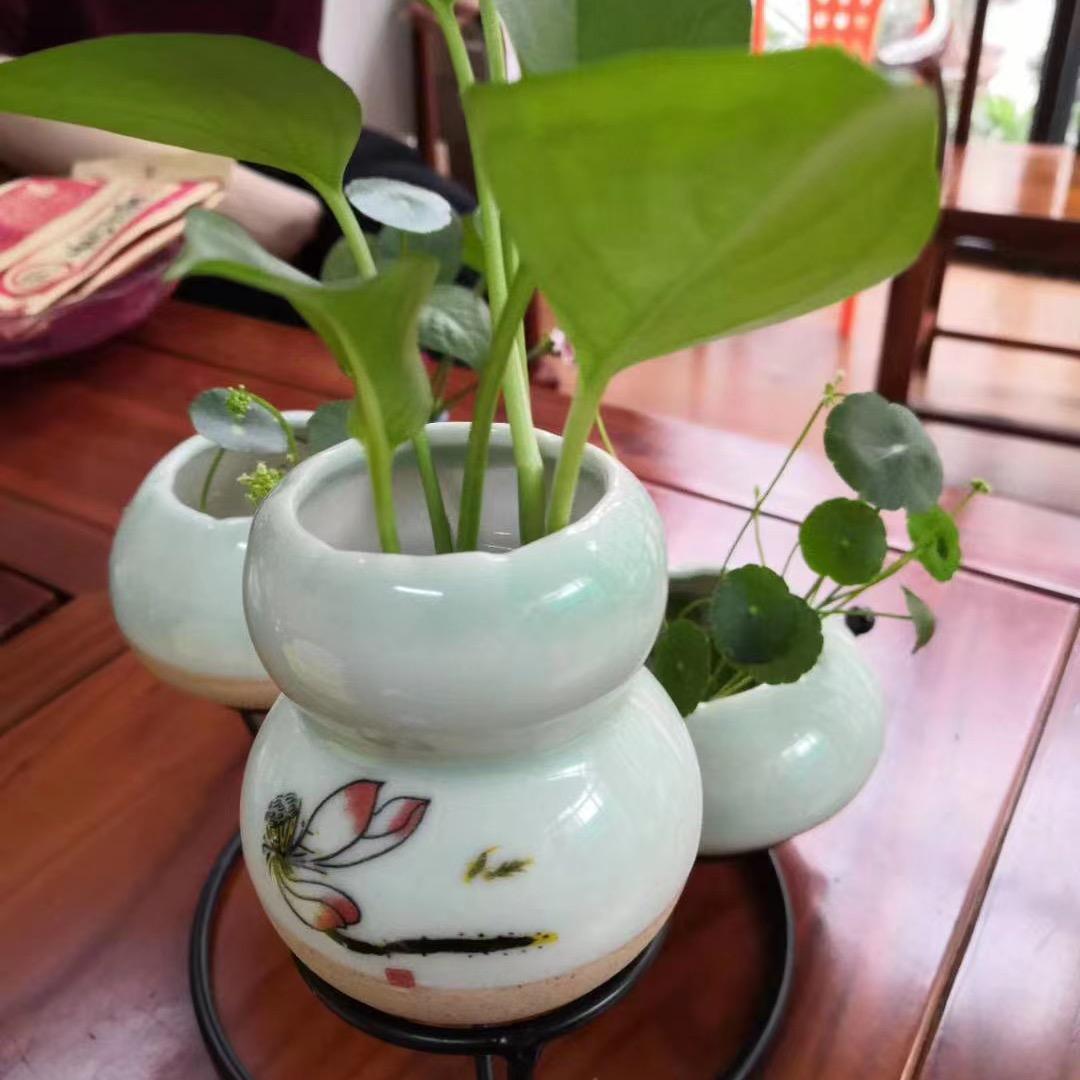 春花