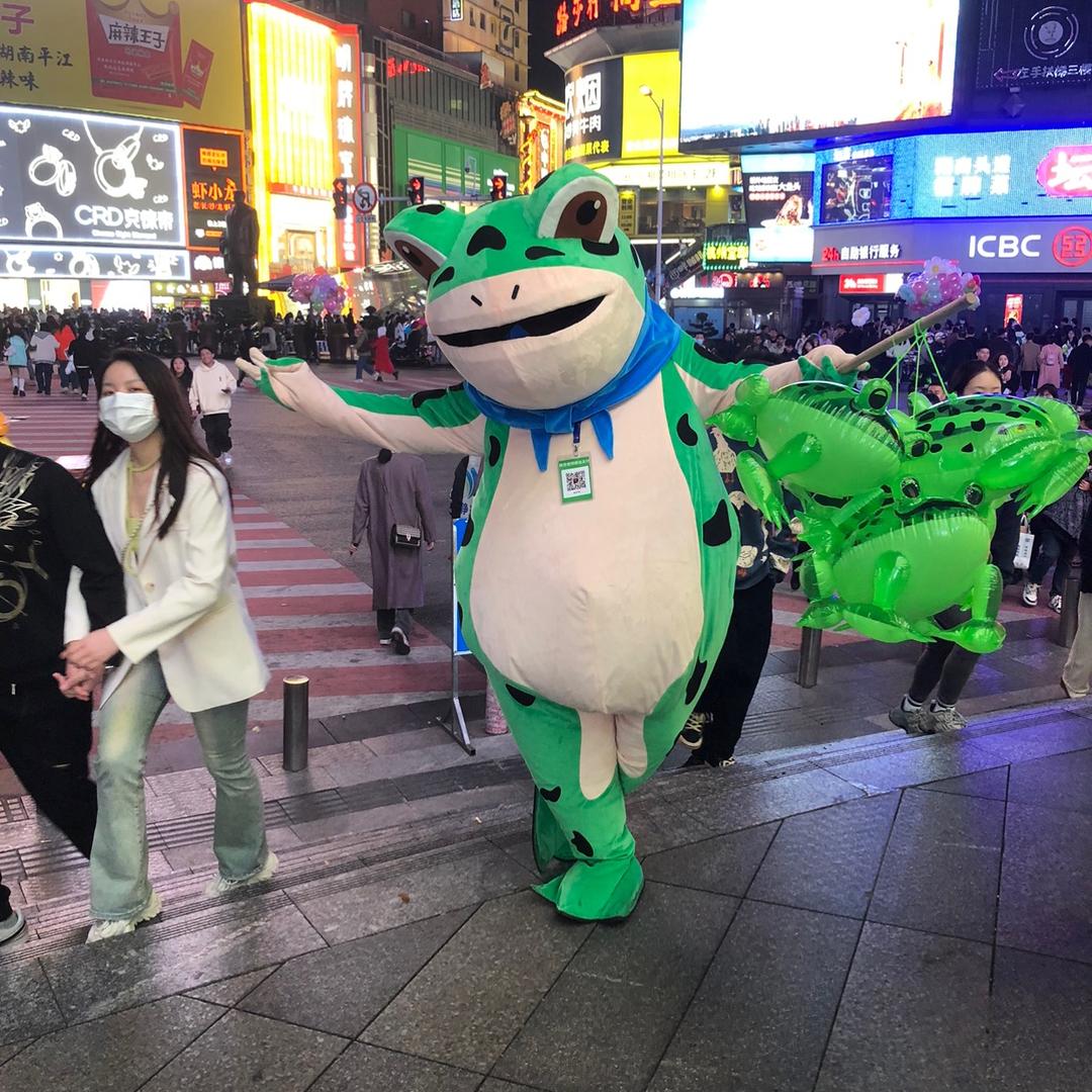 🐸长沙解放西蛙蛙鲜肉饼（饼哥）