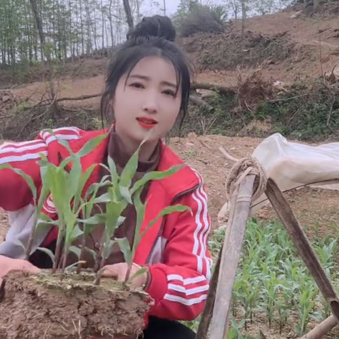 彩虹