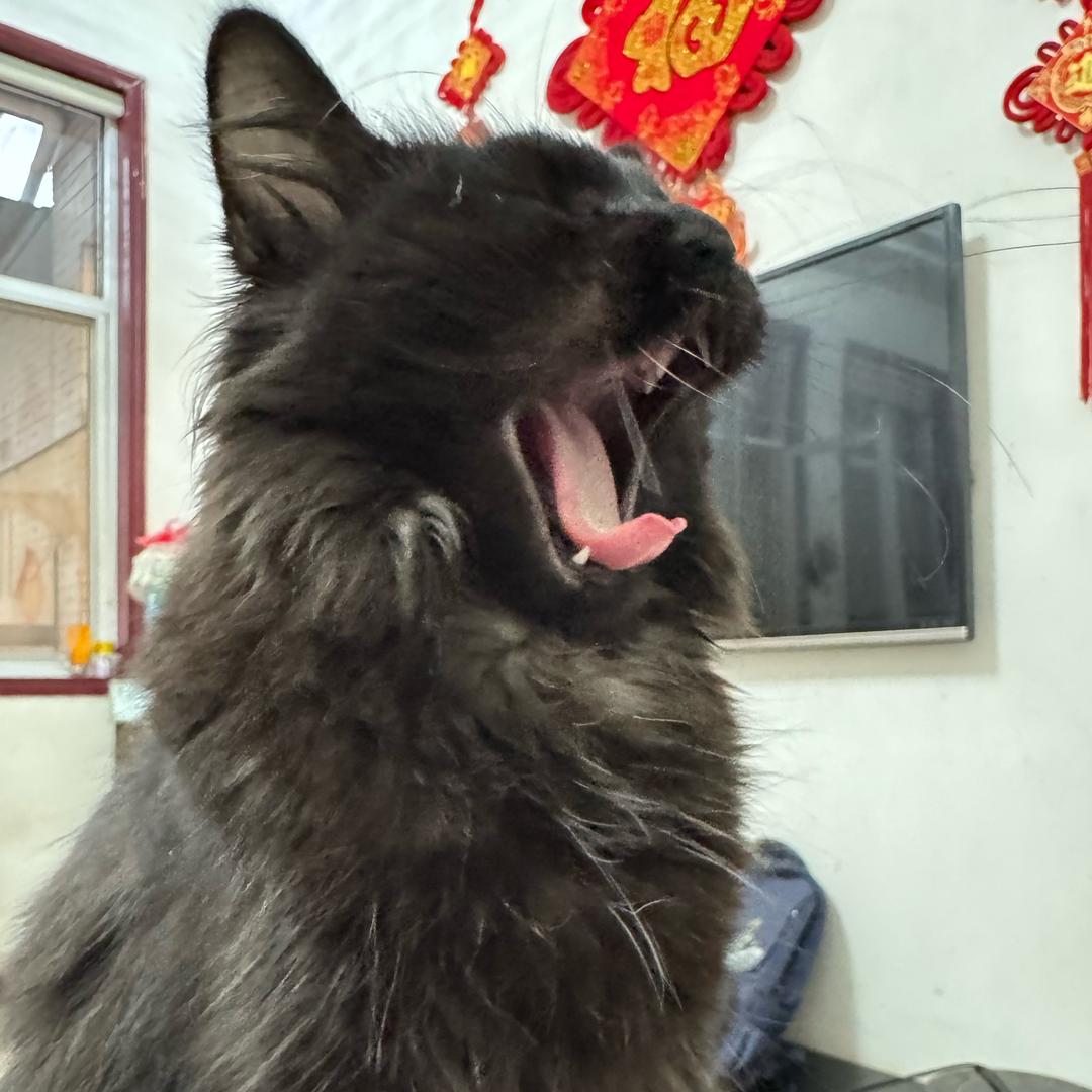 抗震支架