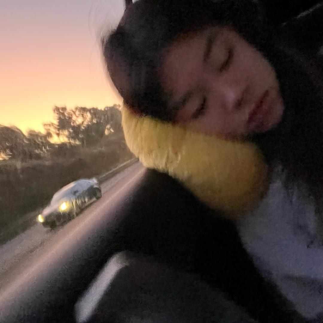 肉桂提子贝果女神