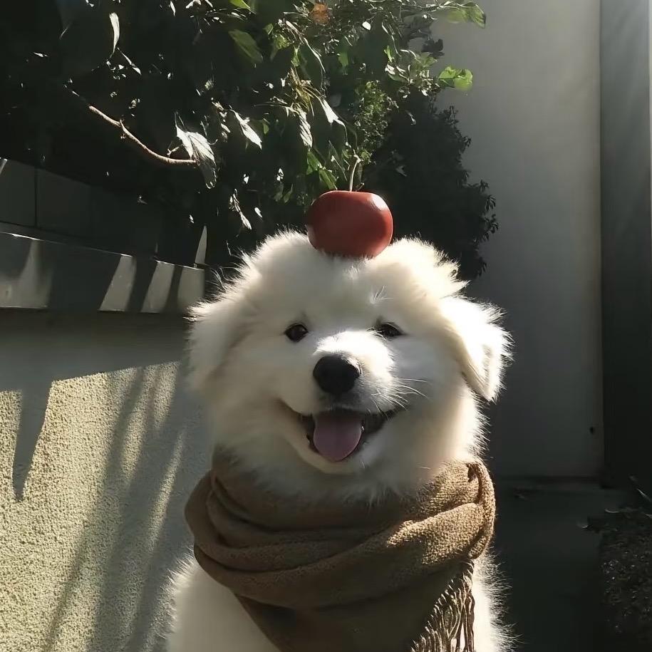 来瓶橘子罐头