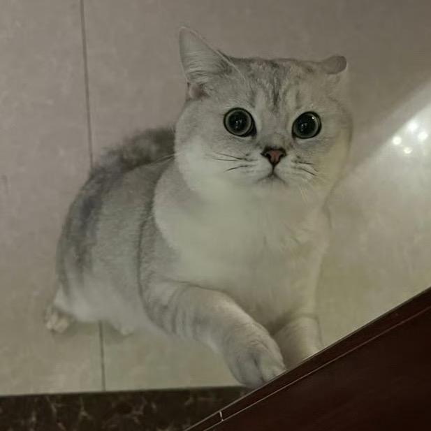 twuihthy