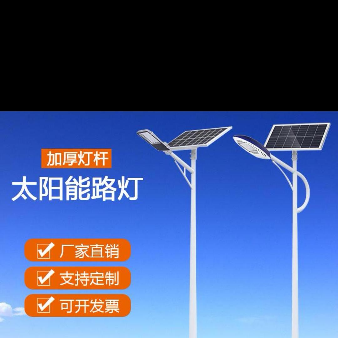 小蚂蚁