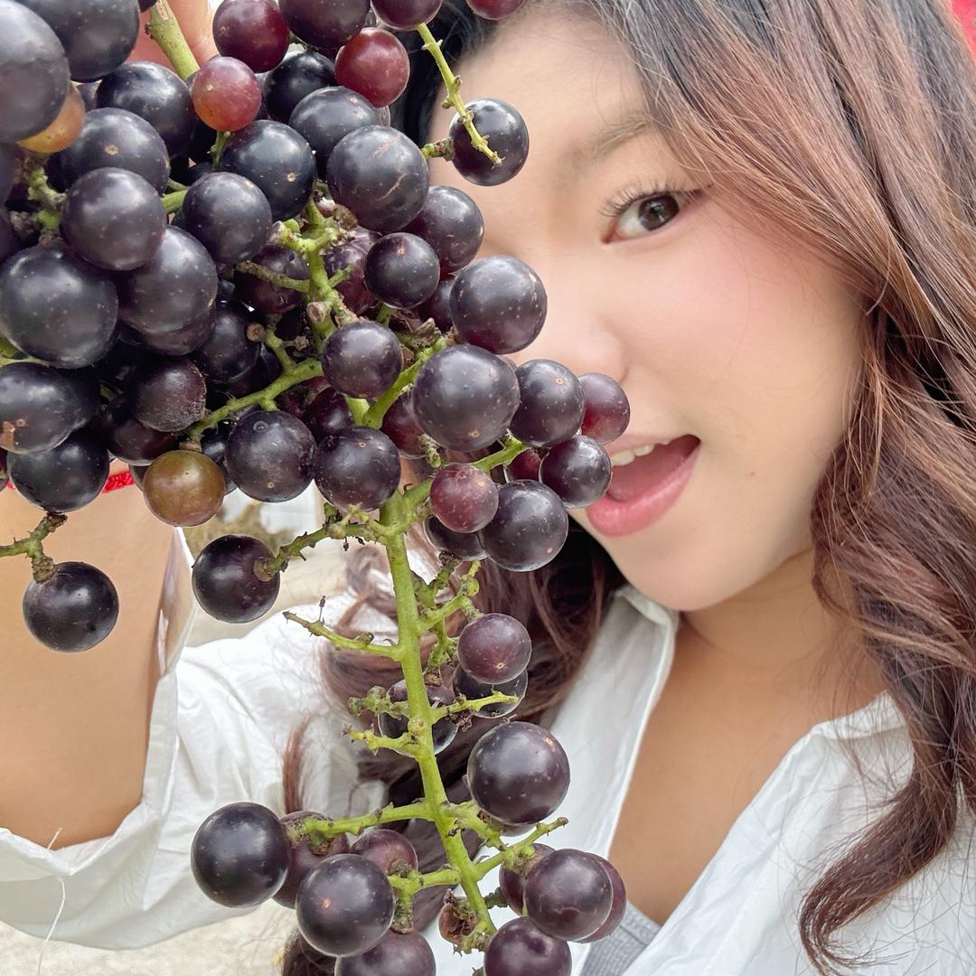 一毛栗子🌰