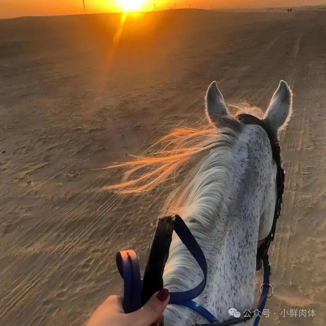 སེ་ལེན🎄