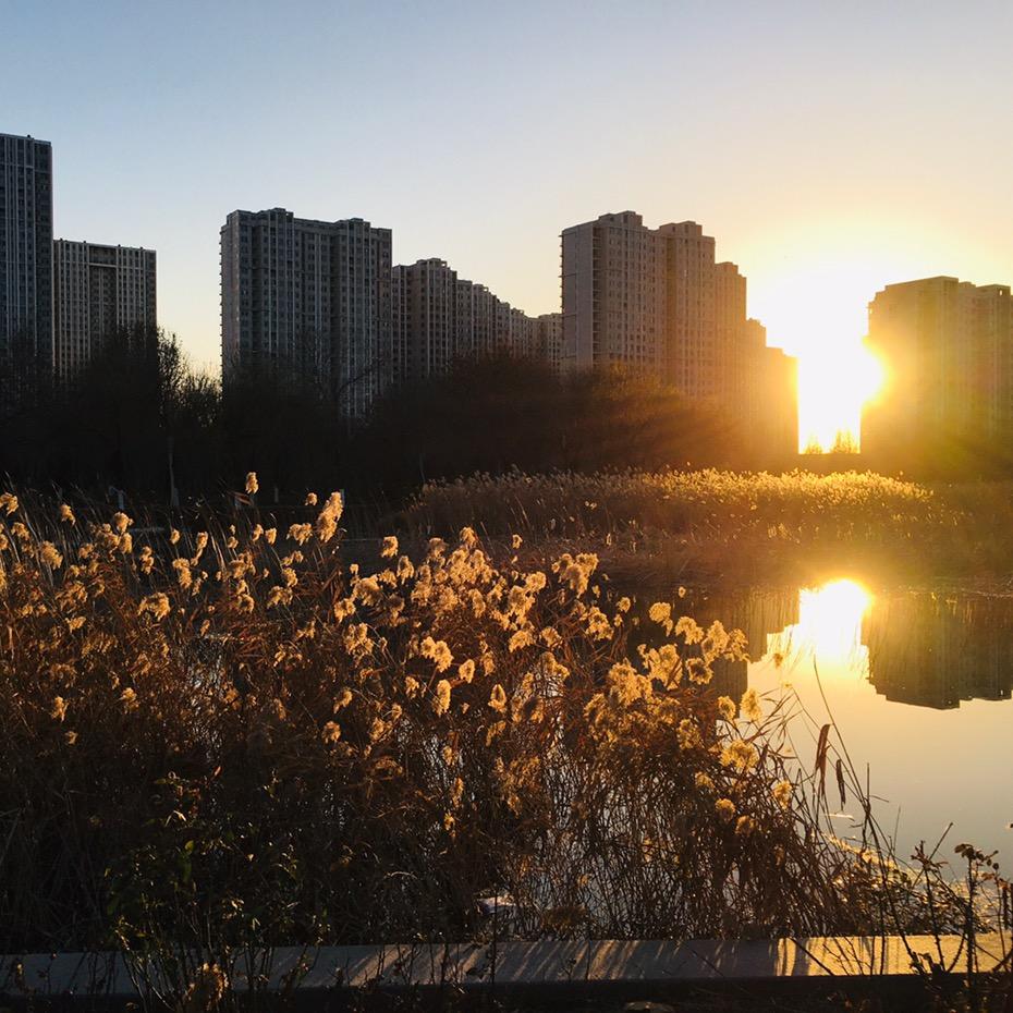 小帅先生