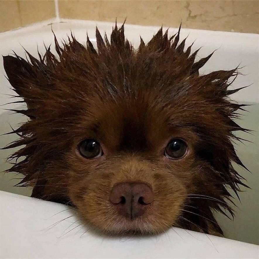 嘻嘻哈哈的抖抖