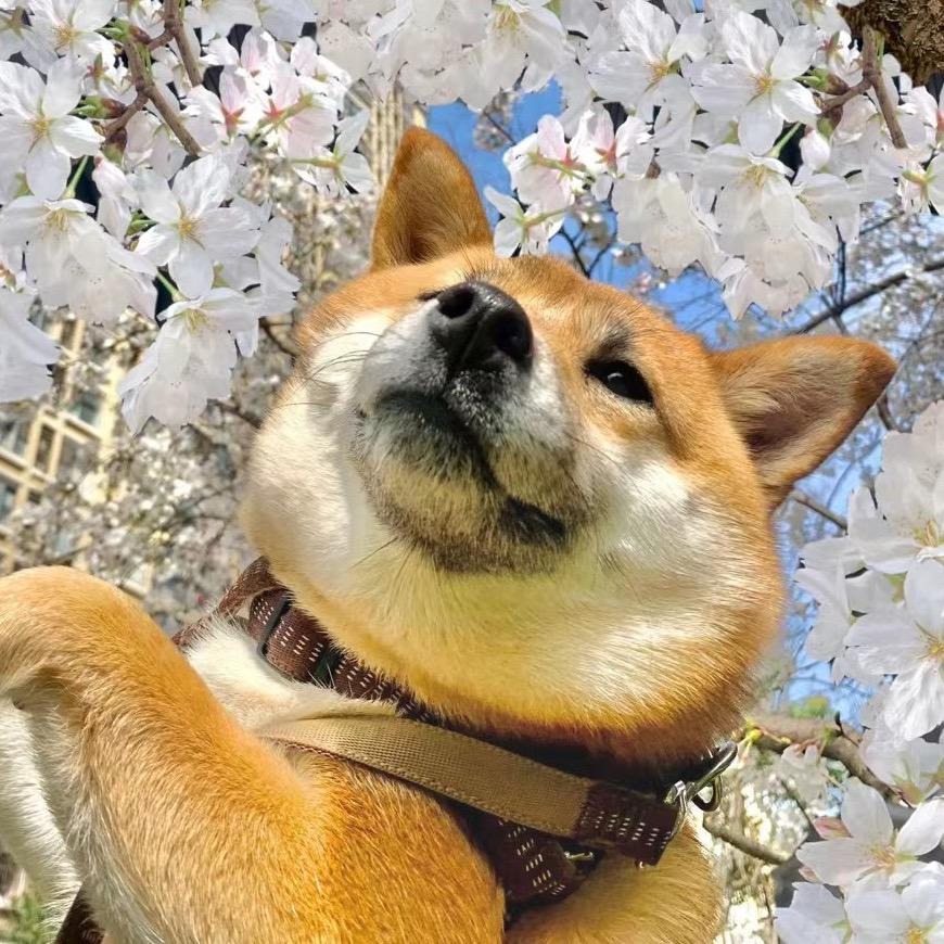 用户范妹妹的范儿